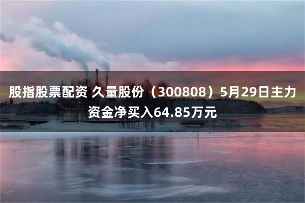 股指股票配资 久量股份（300808）5月29日主力资金净买入64.85万元