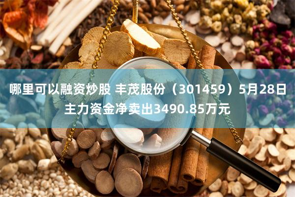 哪里可以融资炒股 丰茂股份（301459）5月28日主力资金净卖出3490.85万元