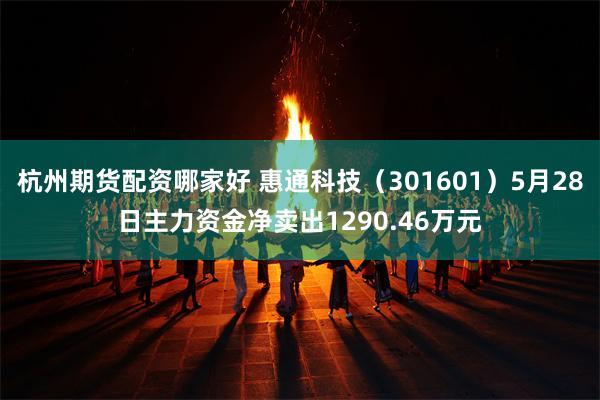 杭州期货配资哪家好 惠通科技（301601）5月28日主力资金净卖出1290.46万元