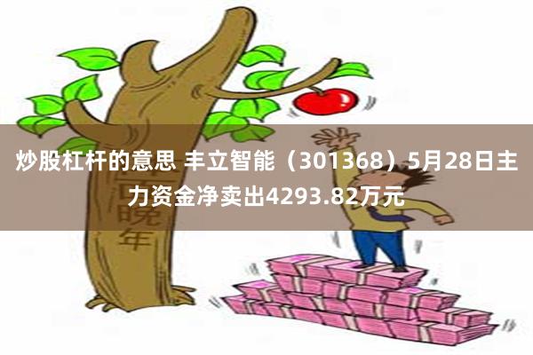 炒股杠杆的意思 丰立智能（301368）5月28日主力资金净卖出4293.82万元