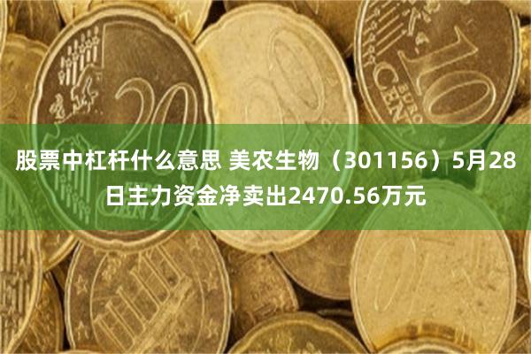 股票中杠杆什么意思 美农生物（301156）5月28日主力资金净卖出2470.56万元