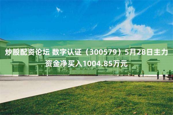 炒股配资论坛 数字认证（300579）5月28日主力资金净买入1004.85万元