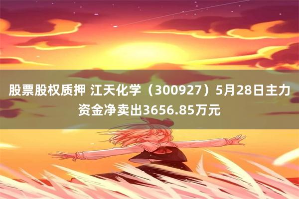 股票股权质押 江天化学（300927）5月28日主力资金净卖出3656.85万元
