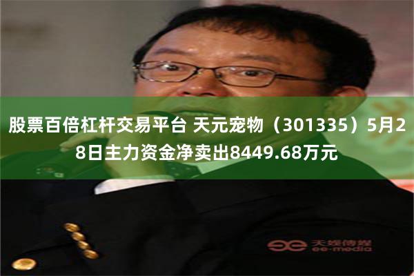股票百倍杠杆交易平台 天元宠物（301335）5月28日主力资金净卖出8449.68万元