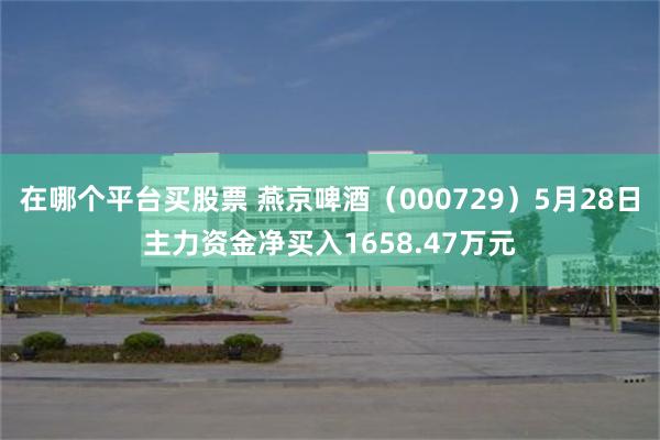 在哪个平台买股票 燕京啤酒（000729）5月28日主力资金净买入1658.47万元