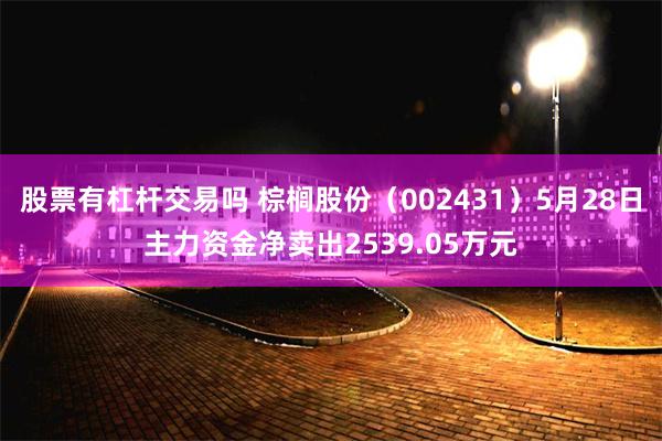 股票有杠杆交易吗 棕榈股份（002431）5月28日主力资金净卖出2539.05万元