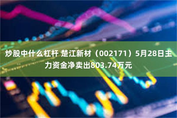 炒股中什么杠杆 楚江新材（002171）5月28日主力资金净卖出803.74万元