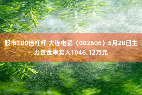 股市100倍杠杆 大连电瓷（002606）5月28日主力资金净买入1046.12万元