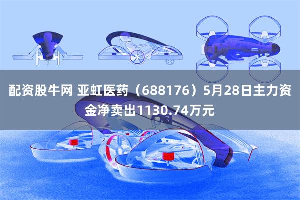 配资股牛网 亚虹医药（688176）5月28日主力资金净卖出1130.74万元