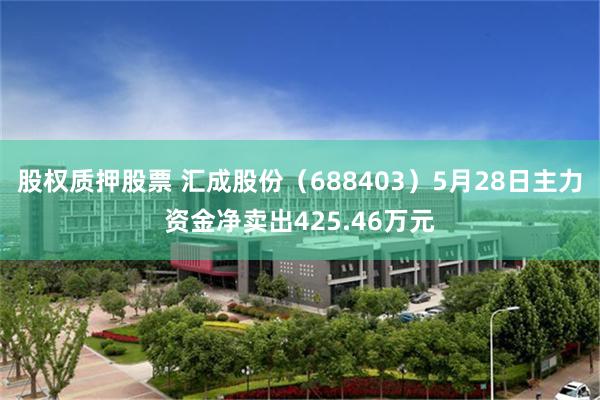 股权质押股票 汇成股份（688403）5月28日主力资金净卖出425.46万元