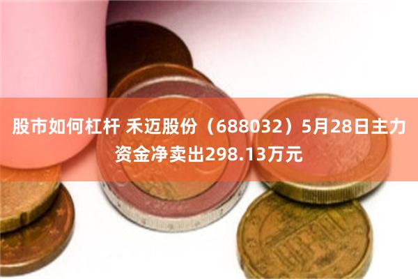 股市如何杠杆 禾迈股份（688032）5月28日主力资金净卖出298.13万元