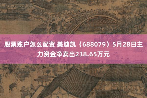 股票账户怎么配资 美迪凯（688079）5月28日主力资金净卖出238.65万元