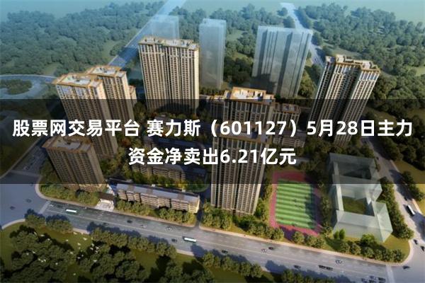 股票网交易平台 赛力斯（601127）5月28日主力资金净卖出6.21亿元