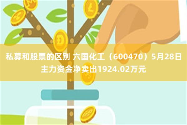 私募和股票的区别 六国化工（600470）5月28日主力资金净卖出1924.02万元