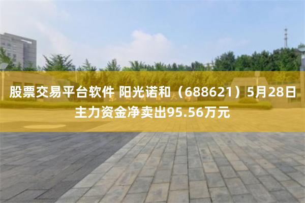 股票交易平台软件 阳光诺和（688621）5月28日主力资金净卖出95.56万元
