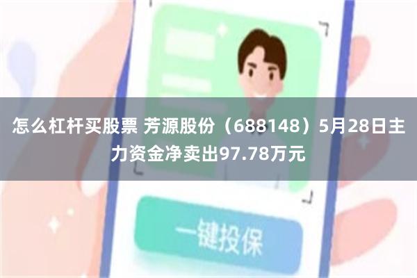怎么杠杆买股票 芳源股份（688148）5月28日主力资金净卖出97.78万元