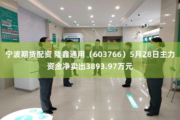 宁波期货配资 隆鑫通用（603766）5月28日主力资金净卖出3893.97万元