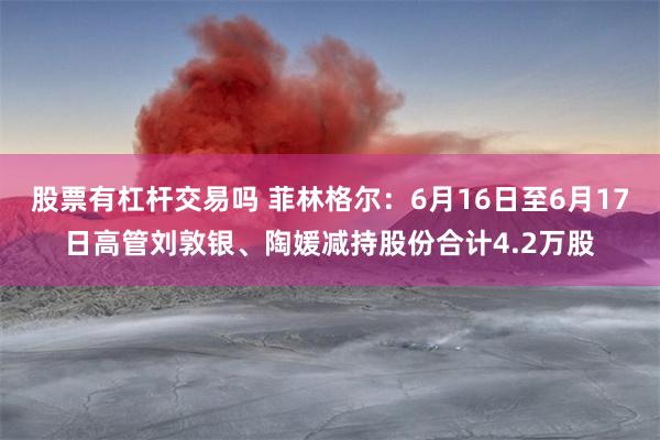 股票有杠杆交易吗 菲林格尔：6月16日至6月17日高管刘敦银、陶媛减持股份合计4.2万股