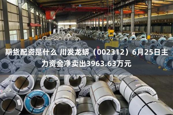 期货配资是什么 川发龙蟒（002312）6月25日主力资金净卖出3963.63万元