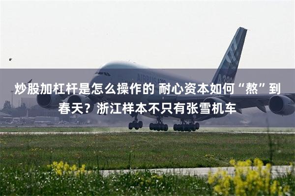 炒股加杠杆是怎么操作的 耐心资本如何“熬”到春天？浙江样本不只有张雪机车