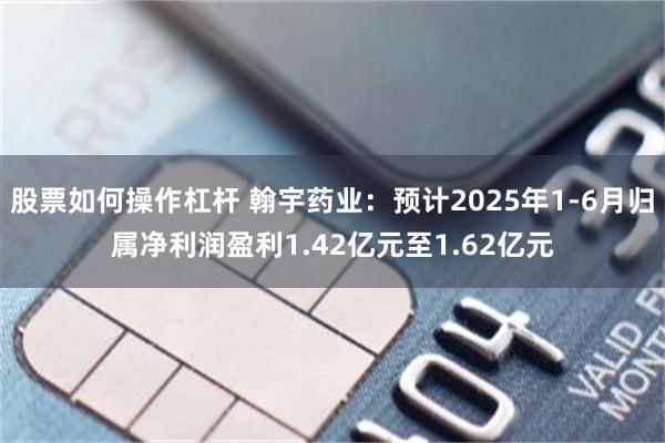 股票如何操作杠杆 翰宇药业：预计2025年1-6月归属净利润盈利1.42亿元至1.62亿元