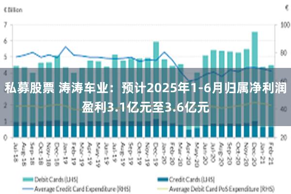 私募股票 涛涛车业：预计2025年1-6月归属净利润盈利3.1亿元至3.6亿元