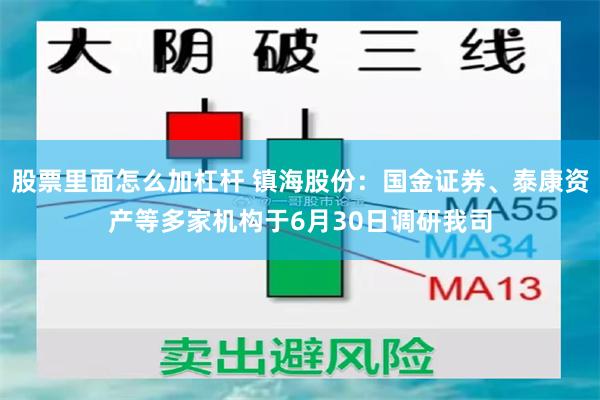 股票里面怎么加杠杆 镇海股份：国金证券、泰康资产等多家机构于6月30日调研我司
