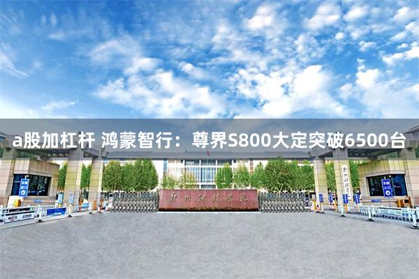 a股加杠杆 鸿蒙智行：尊界S800大定突破6500台