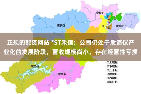 正规的配资网站 *ST禾信：公司仍处于质谱仪产业化的发展阶段，营收规模尚小，存在经营性亏损
