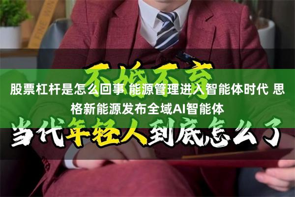 股票杠杆是怎么回事 能源管理进入智能体时代 思格新能源发布全域AI智能体