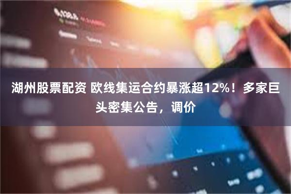 湖州股票配资 欧线集运合约暴涨超12%！多家巨头密集公告，调价