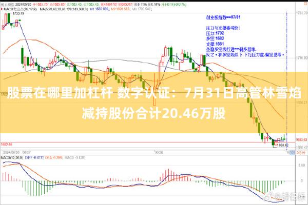 股票在哪里加杠杆 数字认证：7月31日高管林雪焰减持股份合计20.46万股