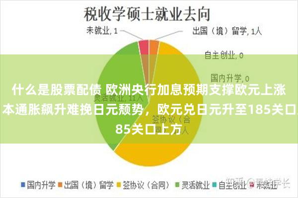 什么是股票配债 欧洲央行加息预期支撑欧元上涨，日本通胀飙升难挽日元颓势，欧元兑日元升至185关口上方