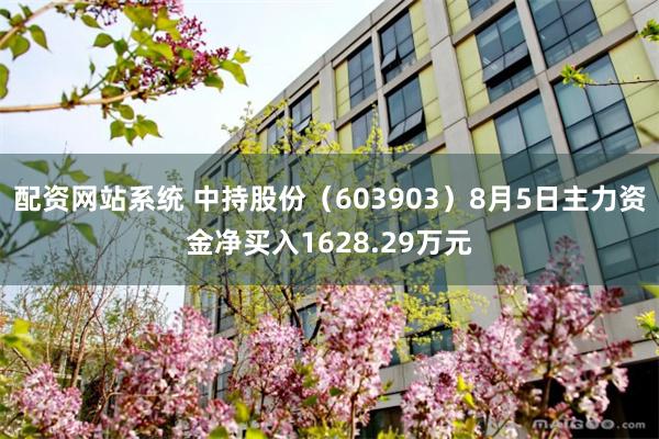 配资网站系统 中持股份（603903）8月5日主力资金净买入1628.29万元