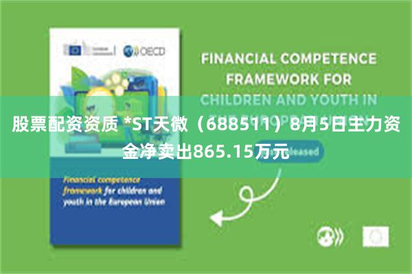 股票配资资质 *ST天微（688511）8月5日主力资金净卖出865.15万元