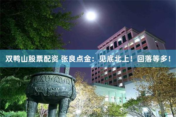 双鸭山股票配资 张良点金:见底北上!回落等多!