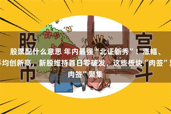 股票配什么意思 年内最强“北证新秀”！涨幅、换手均创新高，新股维持首日零破发，这些板块“肉签”聚集