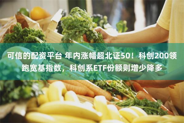 可信的配资平台 年内涨幅超北证50！科创200领跑宽基指数，科创系ETF份额则增少降多
