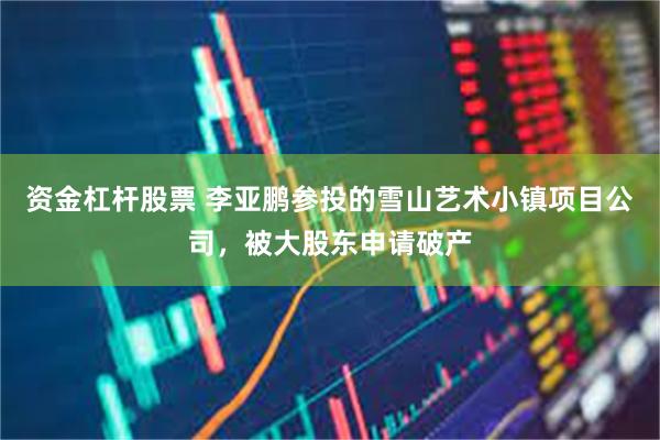 资金杠杆股票 李亚鹏参投的雪山艺术小镇项目公司，被大股东申请破产