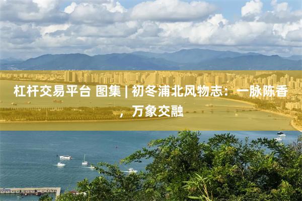 杠杆交易平台 图集 | 初冬浦北风物志：一脉陈香，万象交融