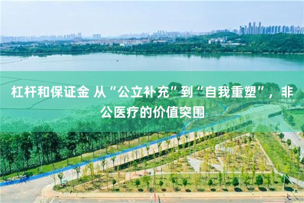 杠杆和保证金 从“公立补充”到“自我重塑”，非公医疗的价值突围