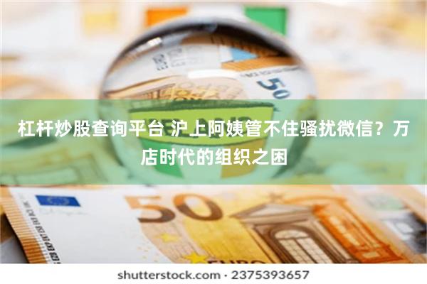 杠杆炒股查询平台 沪上阿姨管不住骚扰微信？万店时代的组织之困