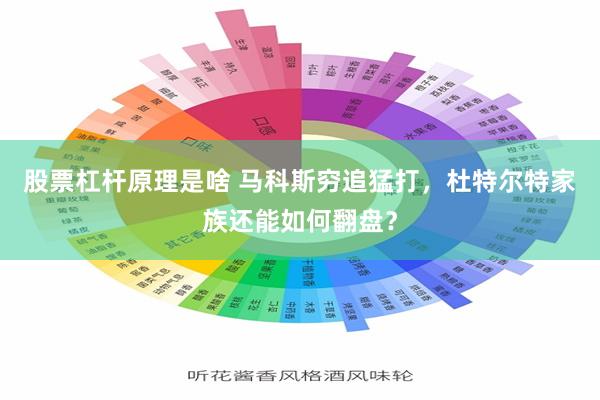 股票杠杆原理是啥 马科斯穷追猛打，杜特尔特家族还能如何翻盘？