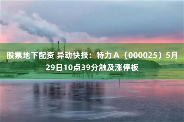 股票地下配资 异动快报：特力Ａ（000025）5月29日10点39分触及涨停板