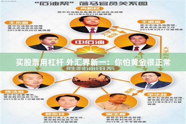 买股票用杠杆 外汇界新一：你怕黄金很正常