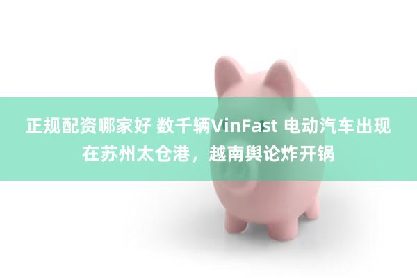 正规配资哪家好 数千辆VinFast 电动汽车出现在苏州太仓港,越南舆论炸开锅