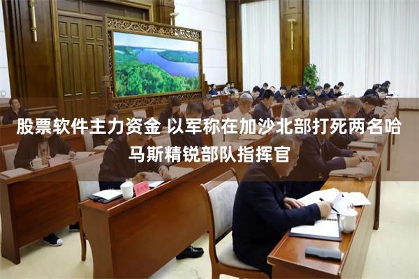 股票软件主力资金 以军称在加沙北部打死两名哈马斯精锐部队指挥官