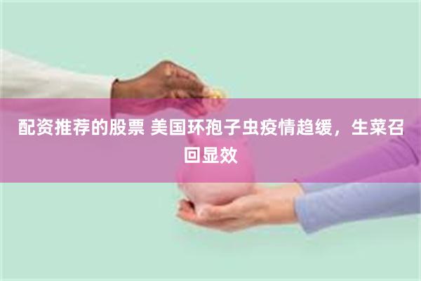 配资推荐的股票 美国环孢子虫疫情趋缓，生菜召回显效