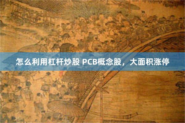 怎么利用杠杆炒股 PCB概念股，大面积涨停