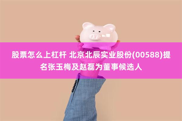股票怎么上杠杆 北京北辰实业股份(00588)提名张玉梅及赵磊为董事候选人